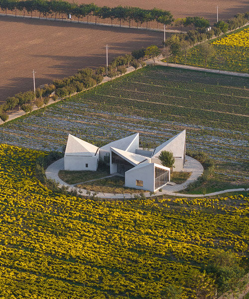 rural library by atelier xi is a cluster of angular blocks in a flower field
