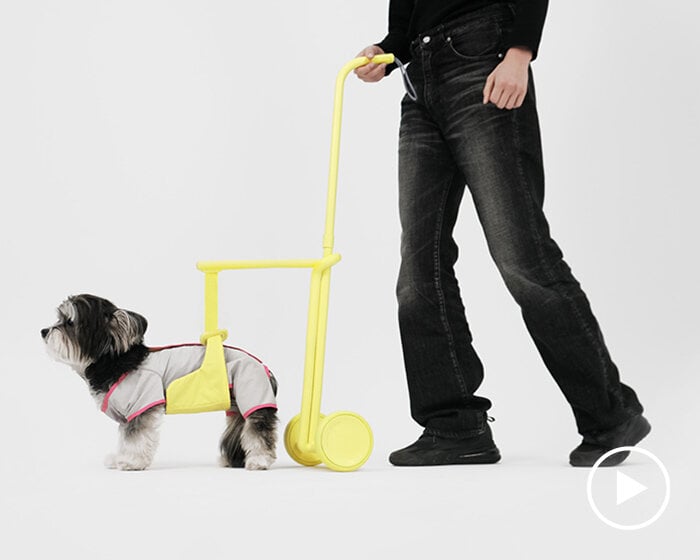 seatbelt-inspired walking aid ensures comfortable strolls with your elderly furry friends